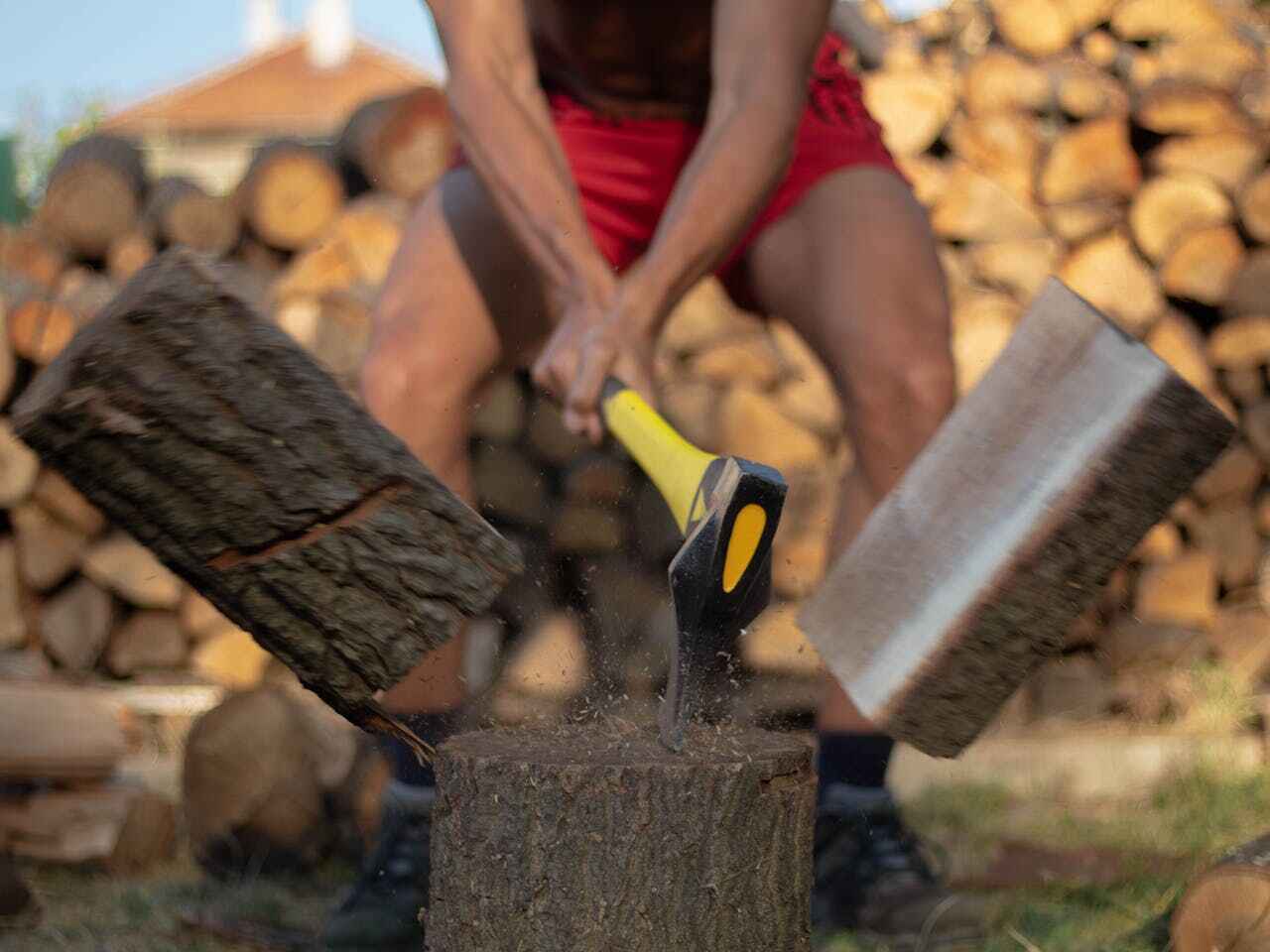 Emergency Storm Tree Removal in Streamwood, IL